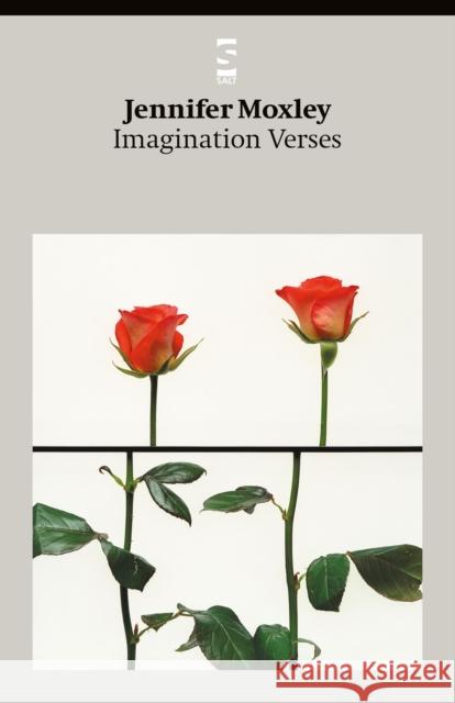 Imagination Verses