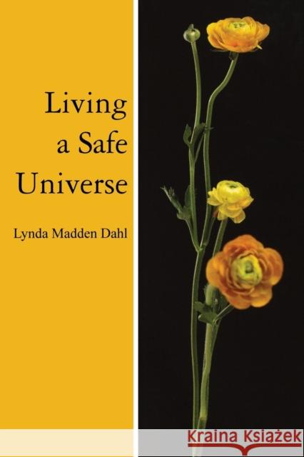 Living a Safe Universe: A Book for Seth Readers
