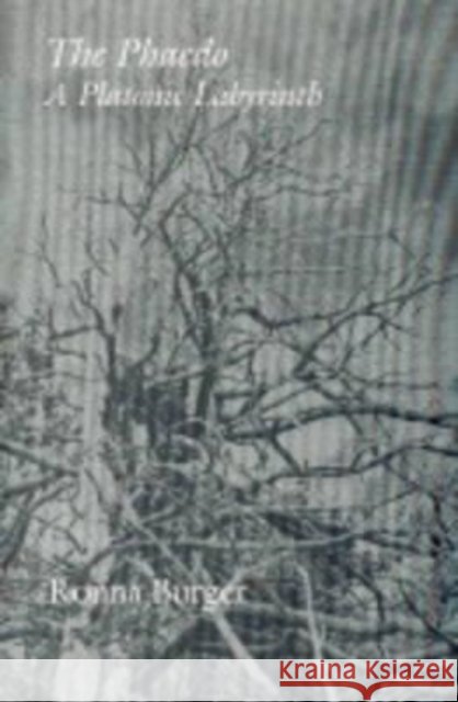 Phaedo a Platonic Labyrinth