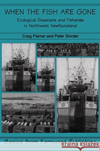When the Fish Are Gone: Ecological Collapse and the Social Organization of Fishing in Northwest Newfoundland, 1982-1995