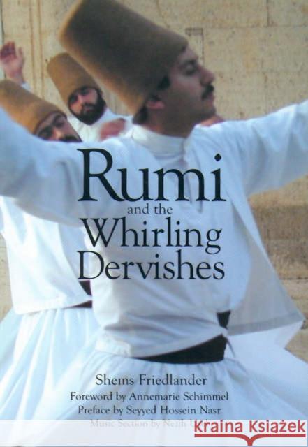 Rumi and the Whirling Dervishes: A History of the Lives and Rituals of the Dervishes of Turkey