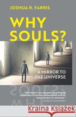 The Book of One: The Spiritual Path of Advaita