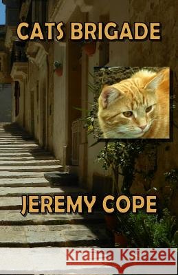 Cats Brigade: The First Miss Licky Tale