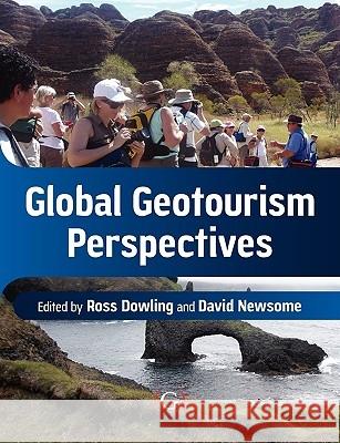 Global Geotourism Perspectives