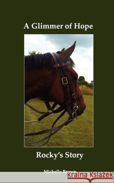 A Glimmer of Hope: Rocky's Story
