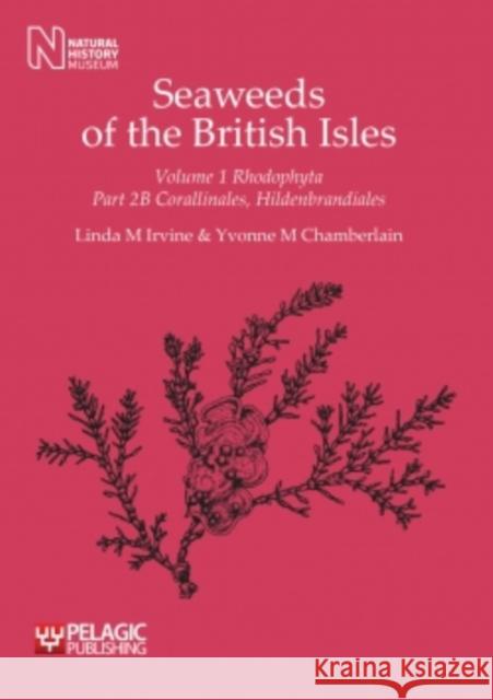 Seaweeds of the British Isles: Corallinales, Hildenbrandiales