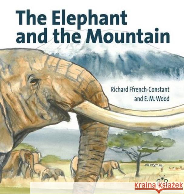 The Elephant and the Mountain