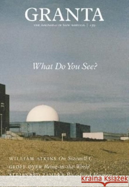 Granta 159: What Do You See?