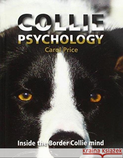 Collie Psychology: Inside The Border Collie Mind