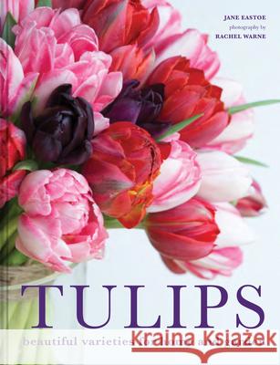 Tulips: Beautiful varieties for home and garden