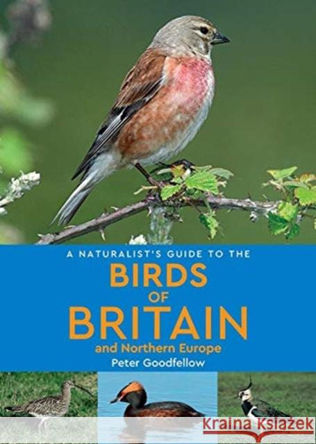 A Naturalist's Guide to the Birds of Britain and Northern Europe (2nd edition)