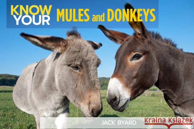 Know Your Donkeys & Mules