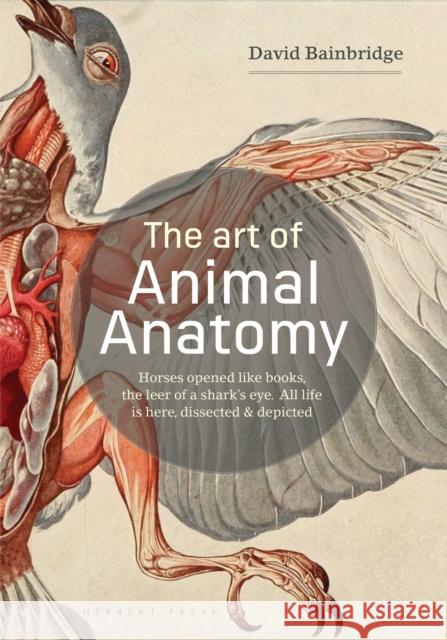 The Art of Animal Anatomy: All Life is Here, Dissected and Depicted
