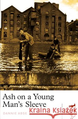 Ash on a Young Man's Sleeve