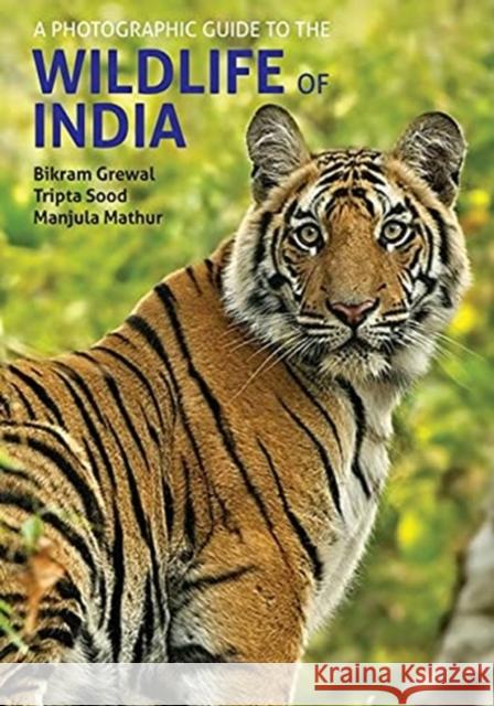 A Photographic Guide to the Wildlife of India