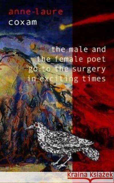 The Male and the Female Poet Go to the Surgery in Exciting Times: and Other Poems