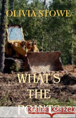 What's The Point?: Charlotte Diamond Mysteries 5