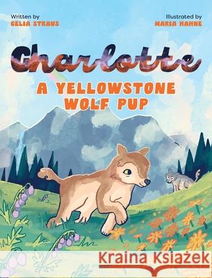 Charlotte A Yellowstone Wolf Pup