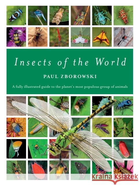 Insects of the World: A fully illustrated guide to the planet's most populous group of animals