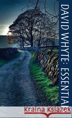 David Whyte Essentials