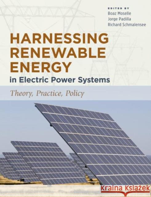 Harnessing Renewable Energy in Electric Power Systems: Theory, Practice, Policy