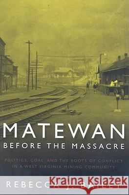 Matewan Before the Massacre: Politics, Coal and the Roots of Conflict in a West Virginia Mining Community
