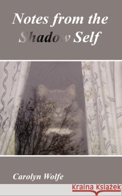 Notes from the Shadow Self