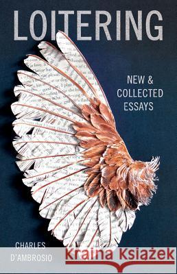 Loitering: New and Collected Essays