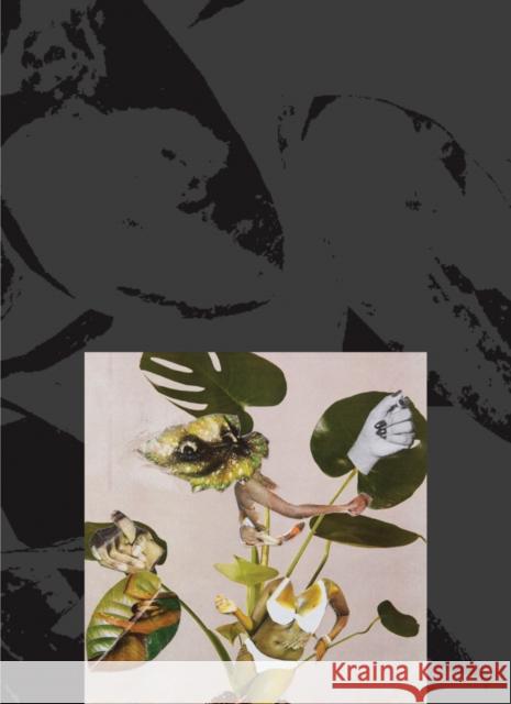 Kandis Williams: A Surface