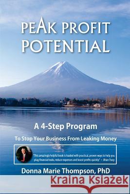 Peak Profit Potential: A 4-Step Program to Stop Your Business From Leaking Money