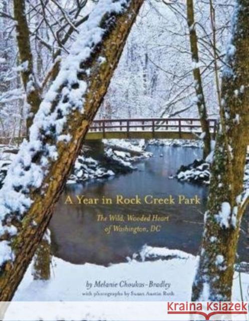 A Year in Rock Creek Park: The Wild, Wooded Heart of Washington, DC