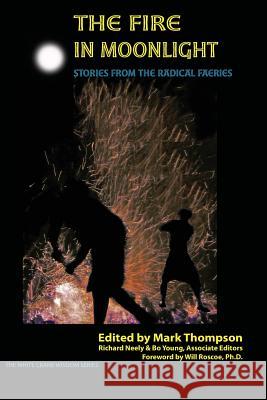 The Fire in Moonlight: Stories from the Radical Faeries 1971 - 2010