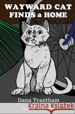 Wayward Cat Finds a Home