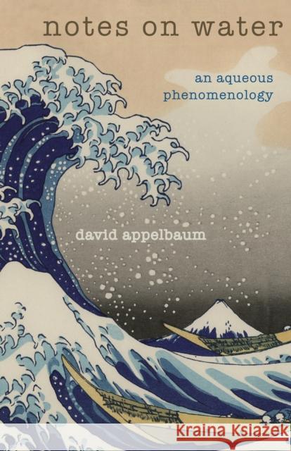 Notes on Water: An Aqueous Phenomenology