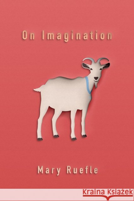 On Imagination