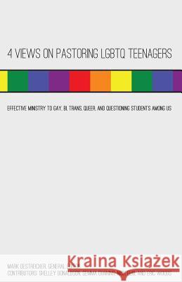 4 Views on Pastoring Lgbtq Teenagers: Effective Ministry to Gay, Bi, Trans, Queer, and Questioning Students Among Us