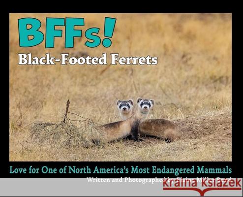 BFFs! Black-Footed Ferrets: Love for One of North Americas Most Endangered Species