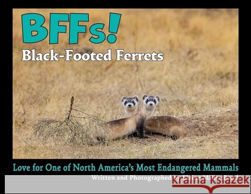BFFs! Black-Footed Ferrets (Paperback): Love for One of North America's Most Endangered Mammals