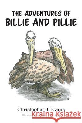 The Adventures of Billie and Pillie