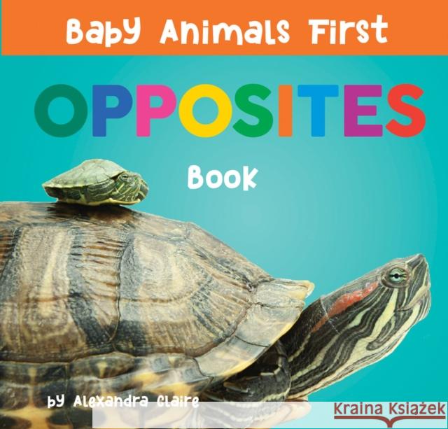 Baby Animals First Opposites Book