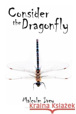 Consider the Dragonfly