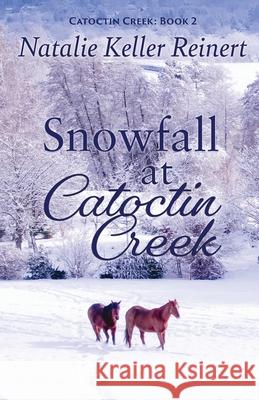 Snowfall at Catoctin Creek