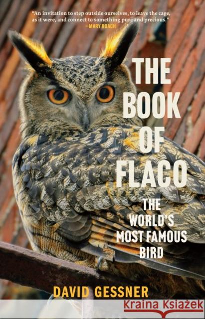 The Book of Flaco: A Parable of the Urban Wild