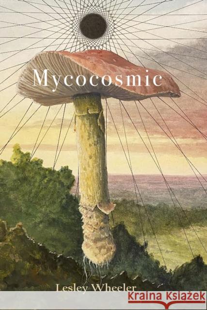 Mycocosmic