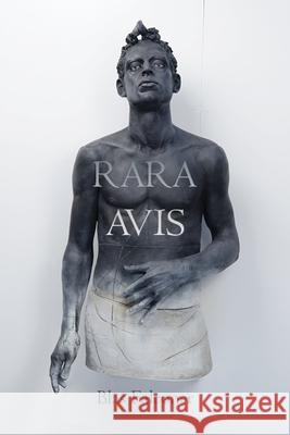 Rara Avis