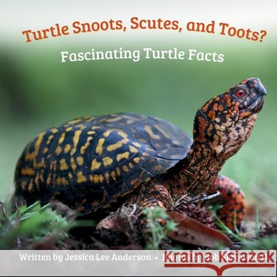 Turtle Snoots, Scutes, and Toots? Fascinating Turtle Facts