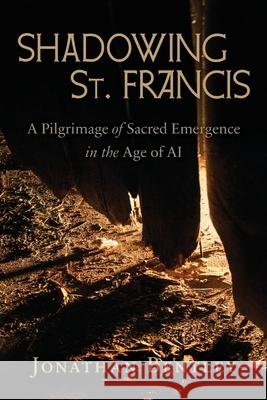 Shadowing St. Francis: A Pilgrimage of sacred emergence in the age of AI
