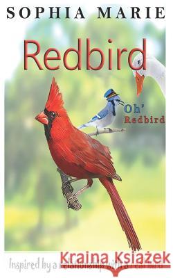 Redbird Oh Redbird: Inspired by a relationship with a real bird