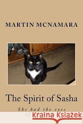 The Spirit of Sasha