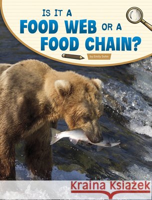 Is It a Food Web or a Food Chain?